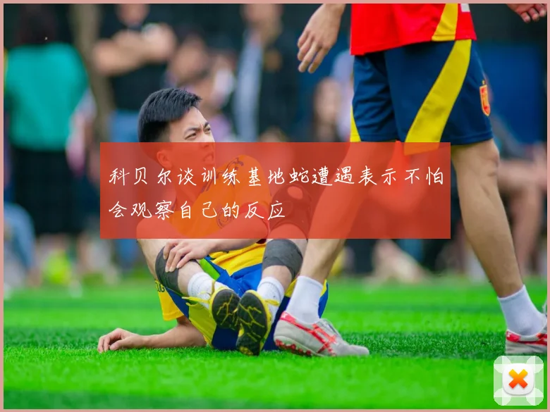 科贝尔谈训练基地蛇遭遇表示不怕会观察自己的反应
