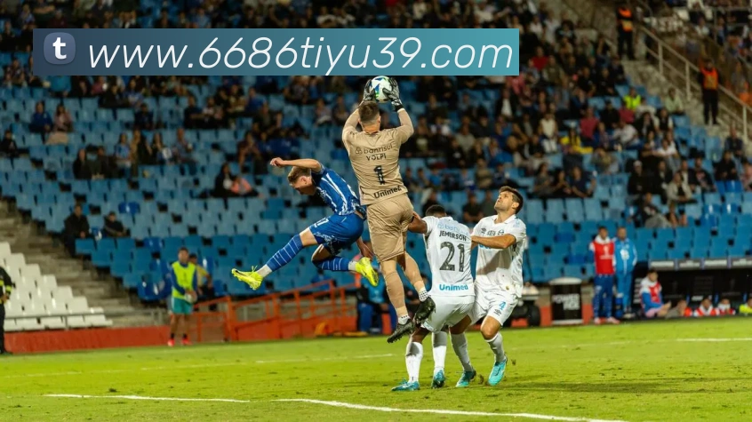 App Interface Preview