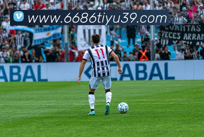 6686体育APP 封面图